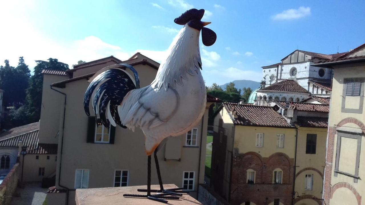 Terrazza Coccode' Spazioso Con Vista Mozzafiato! Lucca Kültér fotó