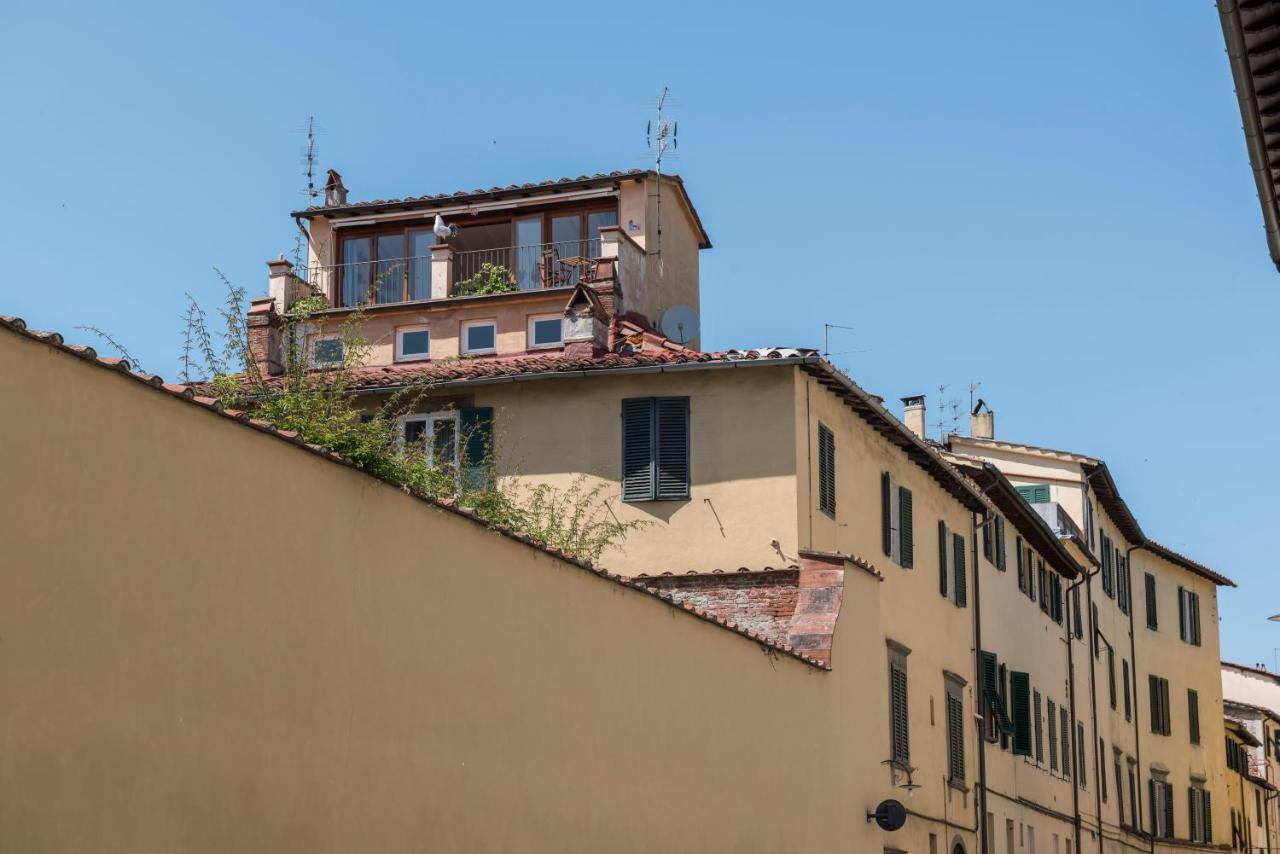 Terrazza Coccode' Spazioso Con Vista Mozzafiato! Lucca Kültér fotó