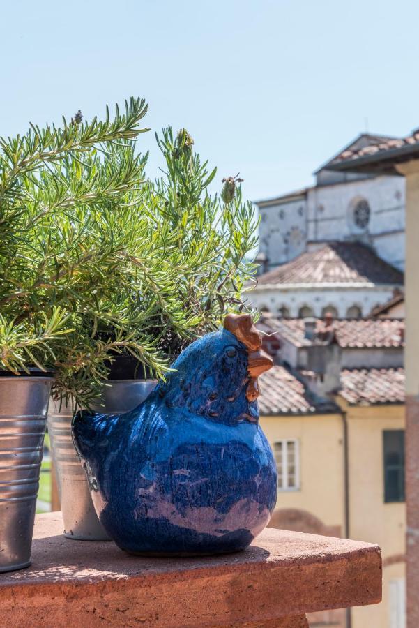 Terrazza Coccode' Spazioso Con Vista Mozzafiato! Lucca Kültér fotó